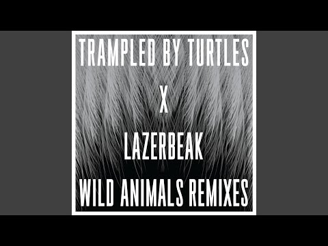 Video thumbnail for Repetition (Lazerbeak Remix)