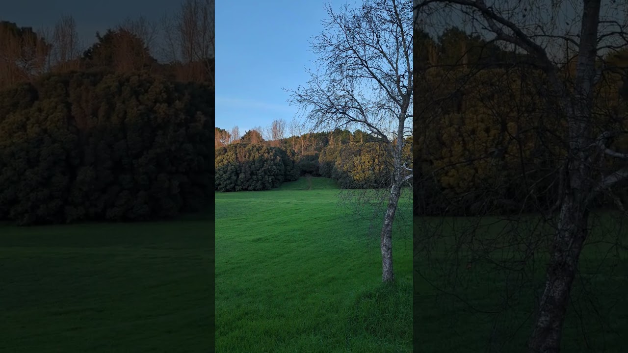 YouTube Short thumbnail