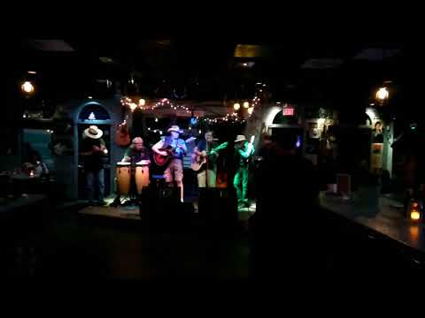 Horney Toads Blues Band