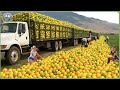 The Most Successful Harvests 2025 How Farmers Reap 2 9 Billion Tons Of Fruits Veggies