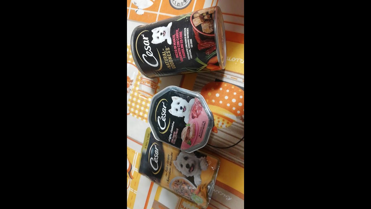 Recensione Cesar Natural Goodness