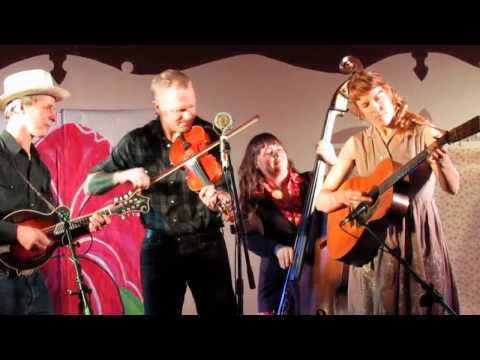 Foghorn Stringband - 21 March 2014 - Sally Ann