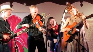 Foghorn Stringband - 21 March 2014 - Sally Ann