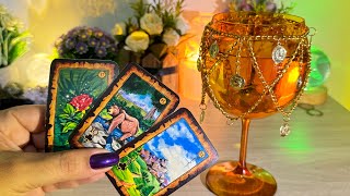 Alguém OLHOU sua FOTO e QUER FALAR com VC! Descubra QUEM🪭🔥