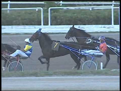 Trotto 28/09/2014 - 6° corsa