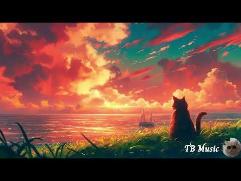 Chill days - TB Music