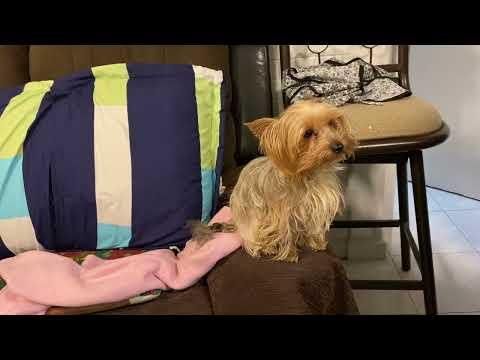 De weba Con Su tía Arcelia !