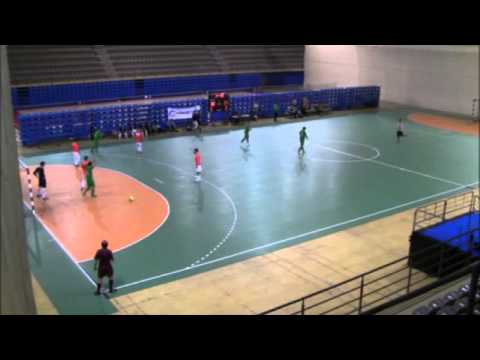 Resumo Silvalde Casal