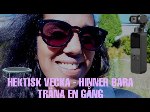 VECKA 34 - HEKTISK VECKA