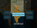 Why India Supports Israel Upsc Palestine