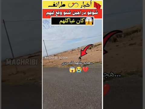 بقاو فيا مساكن 💔😱 دراجين خرجو ليهم لكلاب في لخلا