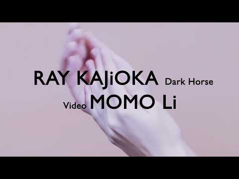 "Ray Kajioka - Dark Horse" Video by MOMO Li