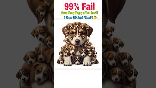Download lagu 🔴 99% Fail🤯 ?? How Many Puppy s You See??🤔 I See 20 And You??👇🏻👇🏻 mp3