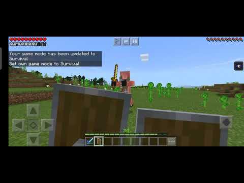 Dual Shield vs zombie pigman (zombified piglin)