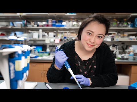 Neuroscientists show how common parasitic infection causes seizures and psychiatric illness for some