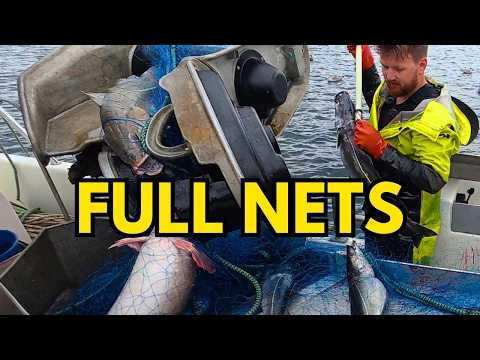 140 FINAL Monkfish Nets This Season (BIG Halibut Battle) #18