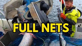 140 FINAL Monkfish Nets This Season (BIG Halibut Battle) #18