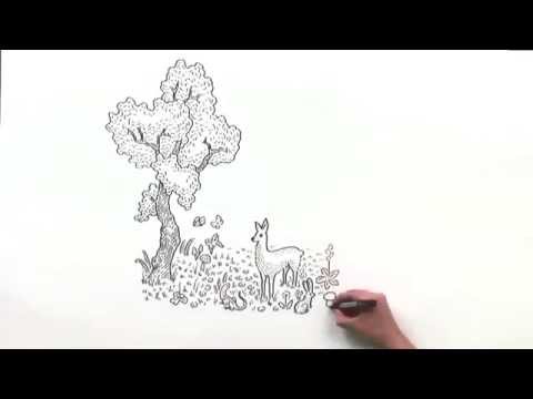 10 iPhonů pro Přístav 18600