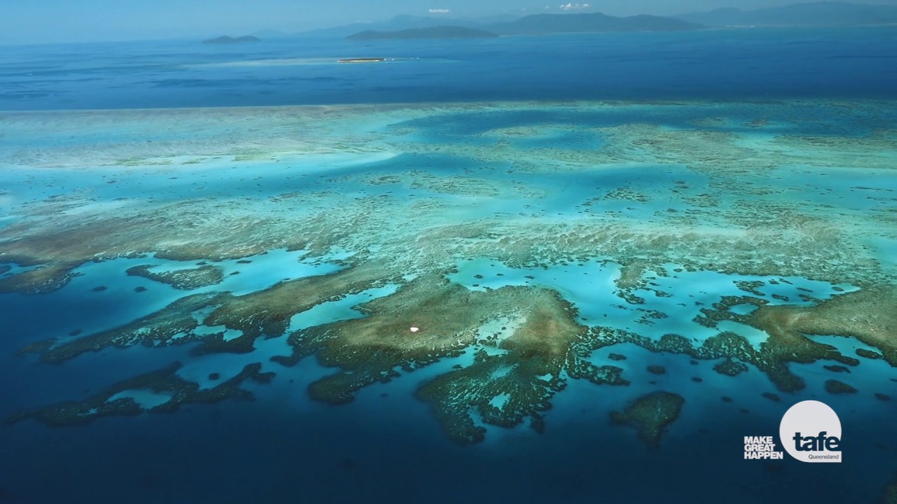 Study at TAFE Queensland | International