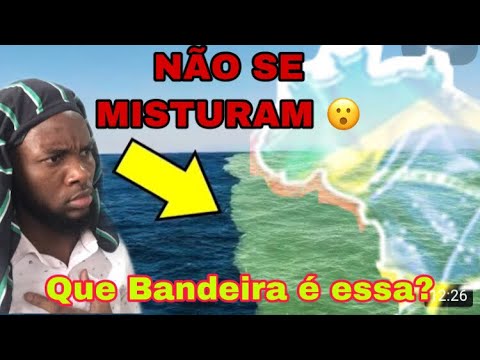 Africano Reage a Rios Negro e Solimões que não se misturam | Lua de Março | Manual do Mundo |