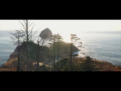 Waterfronts: Where Land Meets Sea | Vibepedia