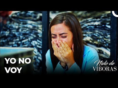 Elvan Se Acorraló - Nido De Víboras