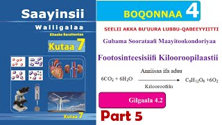 Download lagu Saayinsii Waliigalaa Kutaa 7ffaa Boqonnaa 4 part 5 mp3 Download lagu Saayinsii Waliigalaa Kutaa 7ffaa Boqonnaa 4 part 5 mp3