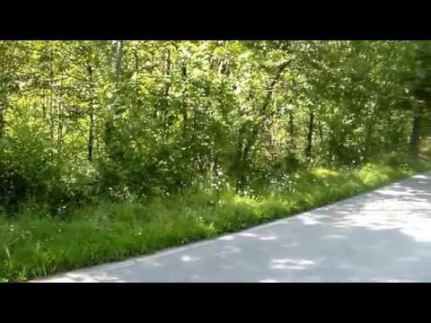 6° Rally Day 12 Ore del Ciocco 2014 E. Bogazzi - M. Carmignani Renault Clio Williams A7 F.T. Car