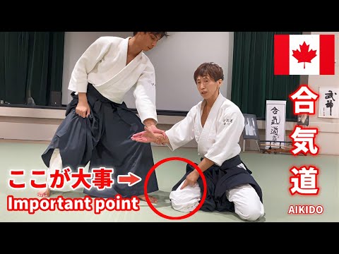 Amazing Aikido in the Canada 2025