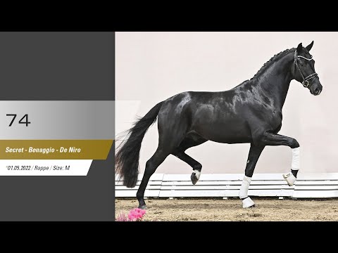 74 Hengst v Secret - Benaggio