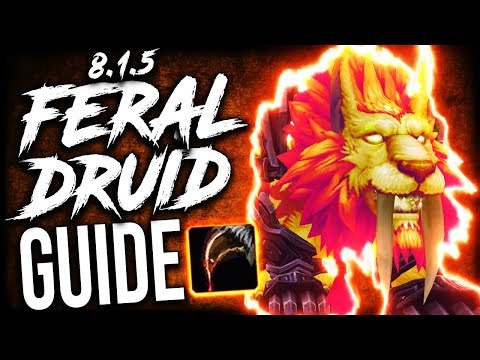 FERAL Druid GUIDE for WoW Raiding and Mythic Plus (BFA Patch 8.1.5)