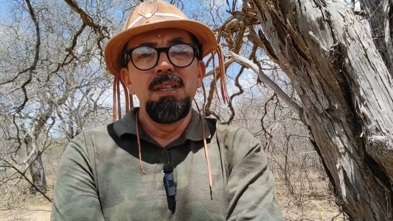 Vidas Secas - um resumo diferente!