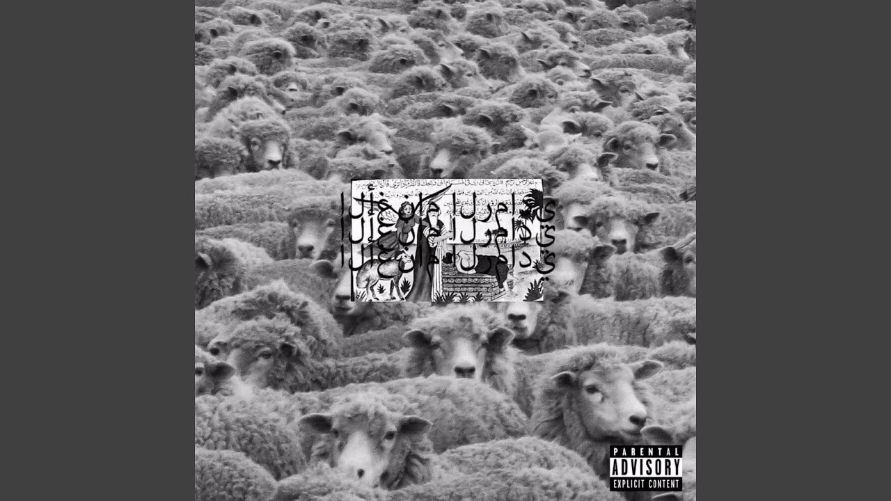 Sweat FM / SJOD / Dammit!