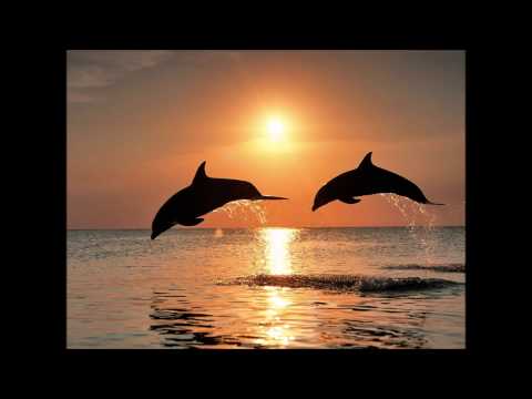 Η Θάλασσα - Αλιρραγής