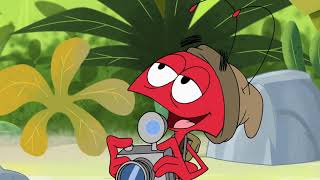 tamanoir et fourmi rouge