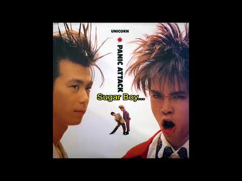 （７）ユニコーン／ＳＵＧＡＲ　ＢＯＹ　プロモ盤／奥田民生 7）ユニコーン／SUGAR BOY プロモ盤／奥田民生 7）ユニコーン