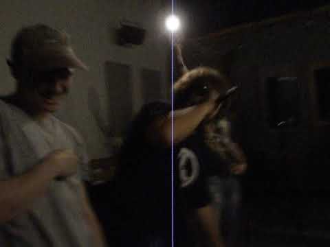 303BUGWORLD ~~ LIVE AT END OF THE WORLD #2012