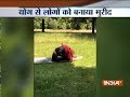 International Yoga Day: Actress Kangana Ranaut performs various Yogasanas