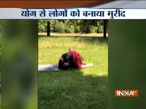 अंतर्राष्ट्रीय योग दिवस: विभिन्न योगासन की मुद्रा में दिखी अभिनेत्री कंगना रनौत