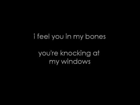 Feel it in my bones - Tiësto feat. Tegan & Sara Lyrics