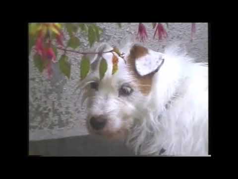 111. Arthrn - malaimé [22.09.2015]