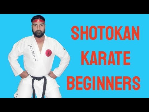 Shotokan Karate Follow Along Class Beginners.