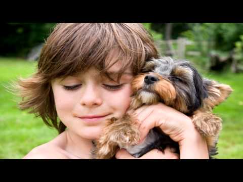 Yakuro - The Color Of Love