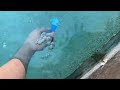 Blue From Blue S Clues Underwater