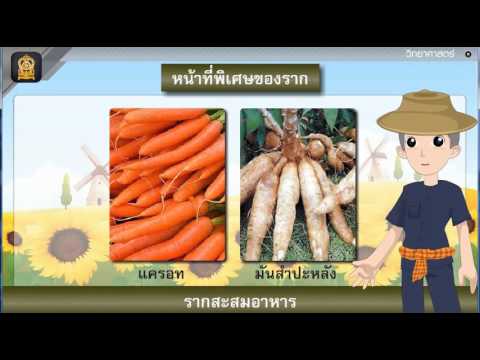 เครื่องมือใหม่สำหรับความอ่อนแอ เครื่องเพื่อเพิ่มสมาชิก