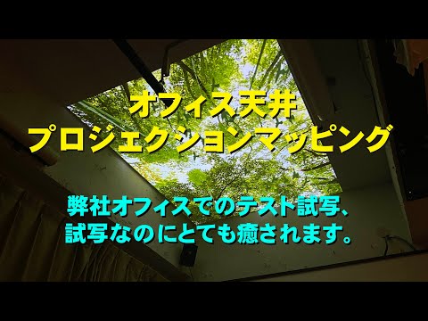 天井プロジェクションマッピング・森林