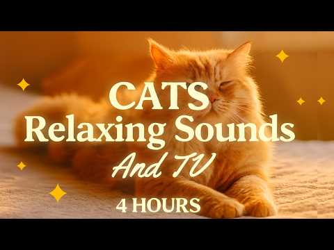 The Perfect CAT TV 🕊️ 4 Hours of Birds & Calming Music for Stress Relief [HD] 🐾