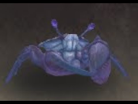 Eastern Kingdoms Safari: Spirit Crab Battle Pet, Ghostlands, WoW Retail