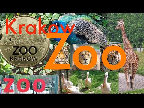 #Krakow Zoo Walking tour#JRworld#Krakow Zoo#Poland#Krakow#2023#Zoo#Walking tour
