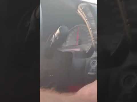 Teaching my 22 year old daughter how to manual drive a C6 corvette 0-100